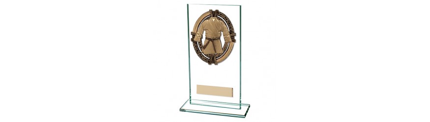 MAVERICK MARTIAL ARTS TROPHY - 5 SIZES - 12.5CM - 20CM